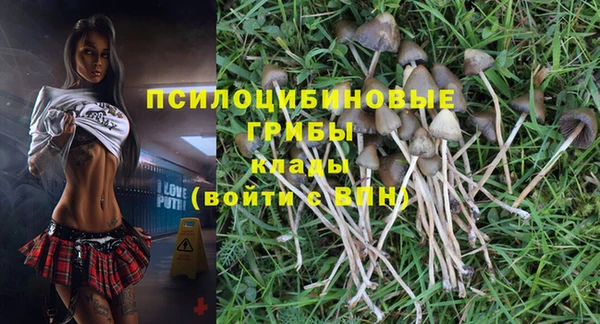 MDMA Белокуриха